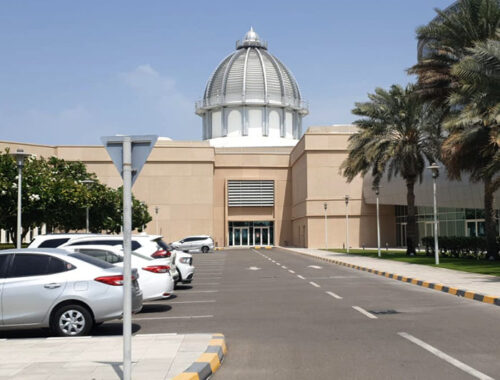 Sorbonne University Abu Dhabi - LDA References