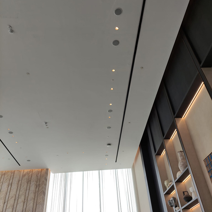 The Ritz-Carlton Residences - LDA References